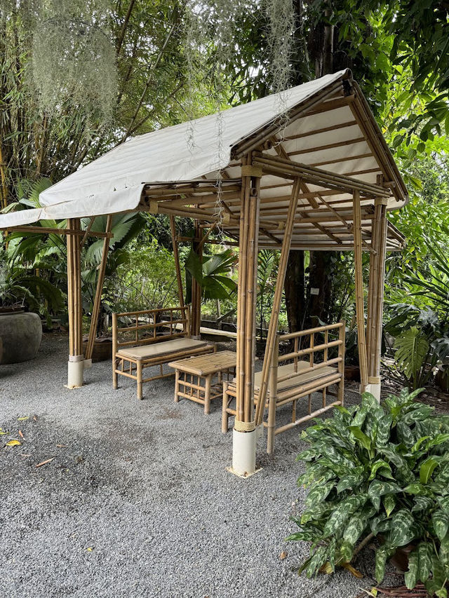 🍰🌻: Nature Garden Cafe