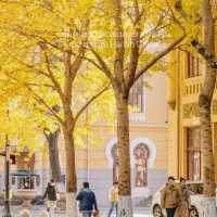 Harbin in Autumn 🍂 