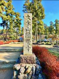 〜神奈川県〜秋の始まりに行きたい紅葉スポット
