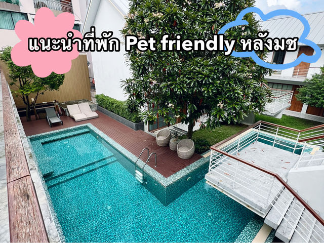 ที่พักหลังมช Pet friendly และ Good service 