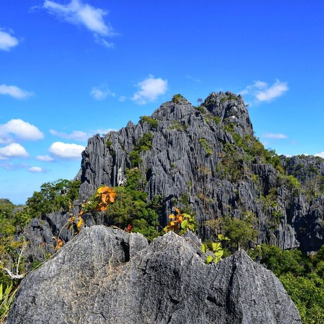 ชมวิวสวนผาหินงาม
