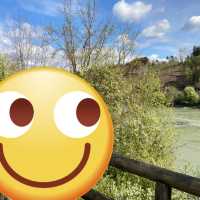 Passau 나들이 여행