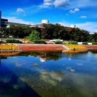 大阪萬博紀念公園