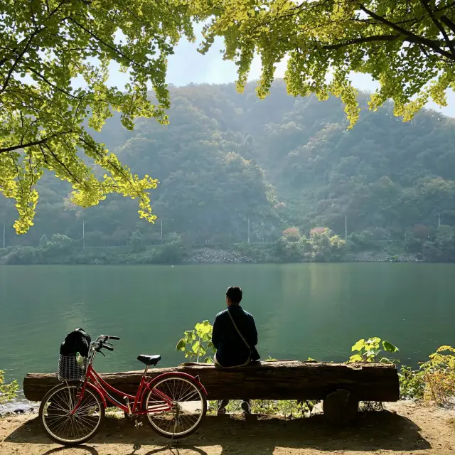 逃離喧囂，前往南怡島：四季皆宜的風景勝地