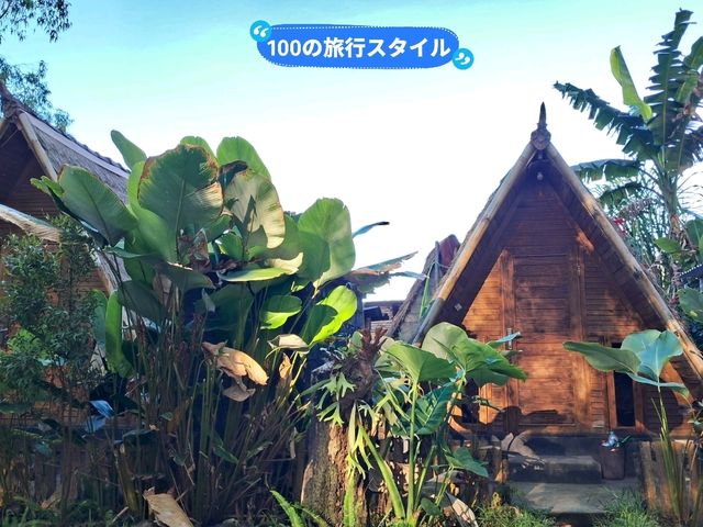 【バリ島】キンタマーニでログハウスに泊まりました