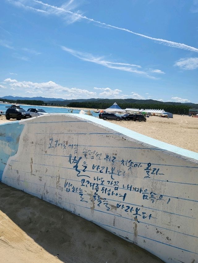 여름이 가장 활기차게 빛나는 영덕 여행지