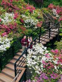 The garden of morning calm is beautiful all year around