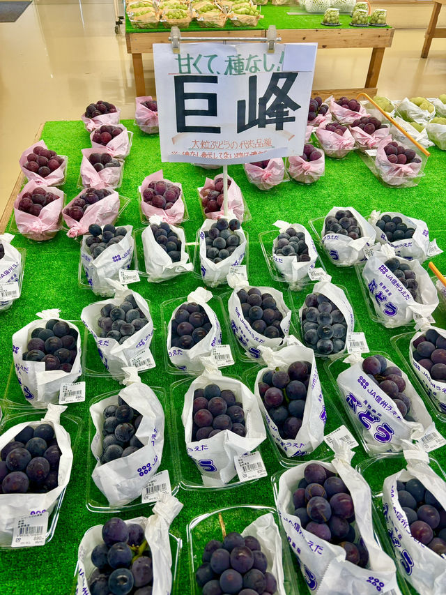 🇯🇵たてしな自由農園