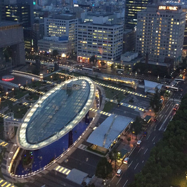 🌿🌺 "探訪綠洲21：城市中的綠色寧靜天堂" 🏙️🌈