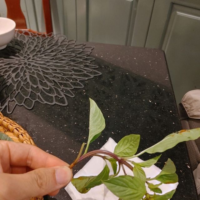 전통 베트남 식당 마담프어 