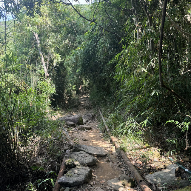 香港🇭🇰龍脊徒步·老少咸宜