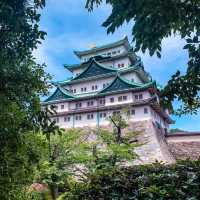 【名古屋】名古屋のシンボル！金のシャチホコ名古屋城🏯