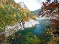 自助探險立山黑部：沉浸絕美山水之旅