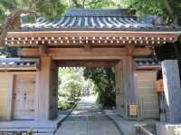 【鎌倉市】鎌倉にある竹林報国寺🎋