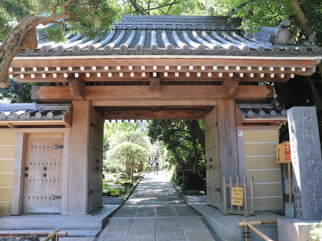 【鎌倉市】鎌倉にある竹林報国寺🎋