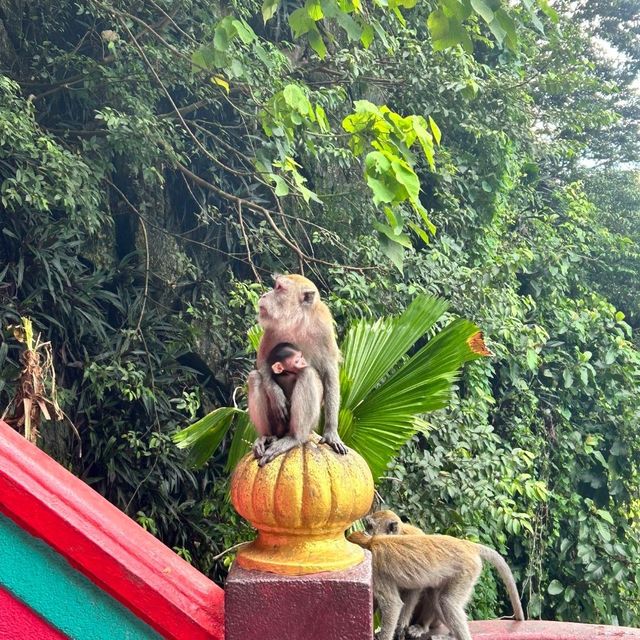 🇲🇾 อินเดีย อินมาเลฯ ... ที่นี่ ถ้ำบาตู
