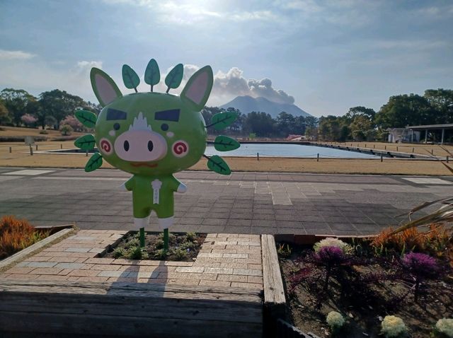 【鹿児島県立吉野公園:鹿児島市】綺麗なお花が咲く広大な公園🌳