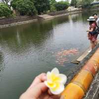 พระราชวังเว้ 