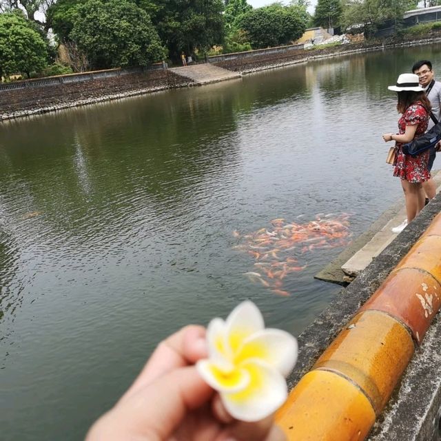พระราชวังเว้ 