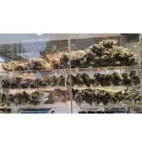 潮龍園簡直係我葵芳食堂