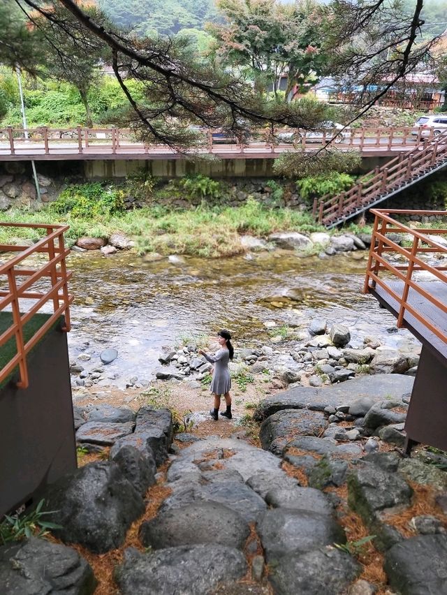무주에서 가장 빠른 가을이 찾아온 단풍카페🍁