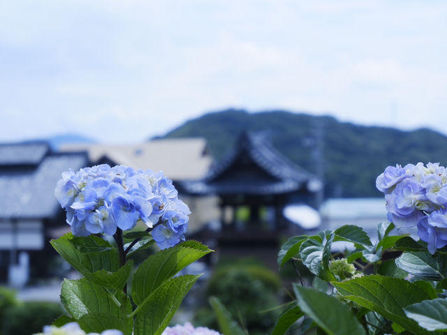 名古屋愛知縣景點：適合自駕遊 