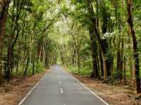 Alas Purwo National Park