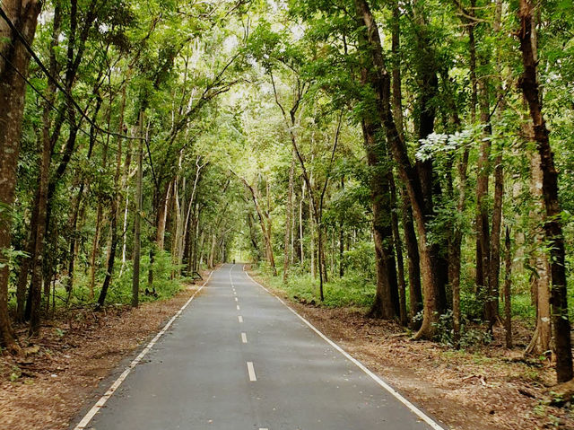 Alas Purwo National Park