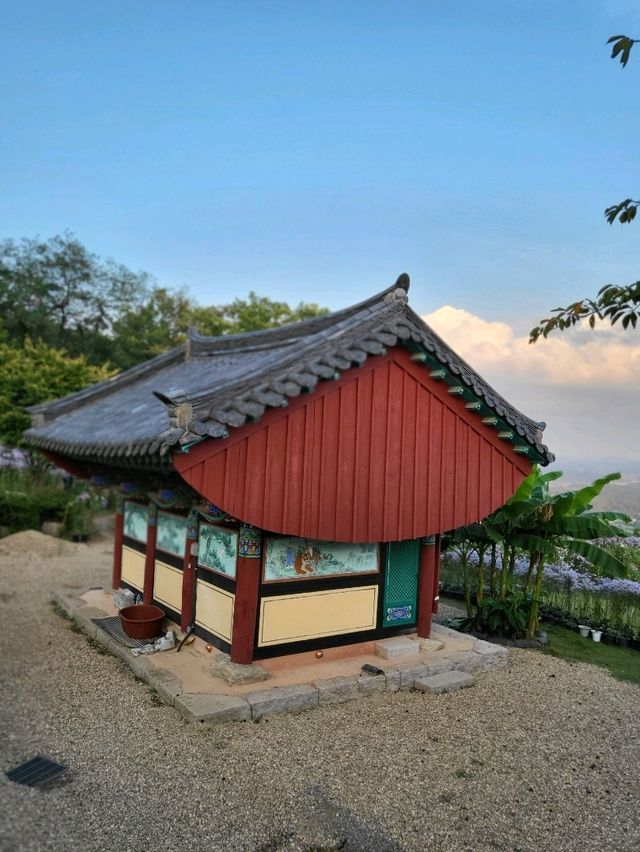 보라빛향기 가득한 가을꽃이 피는곳