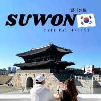 Paletscent (팔레센트) คาเฟ่ สุดฮิตย่านซูวอน
