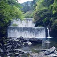 自然を満喫！高知の川と山に癒された3日間