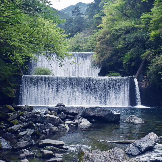 自然を満喫！高知の川と山に癒された3日間