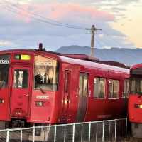 浮羽市千鳥居群，打卡必到