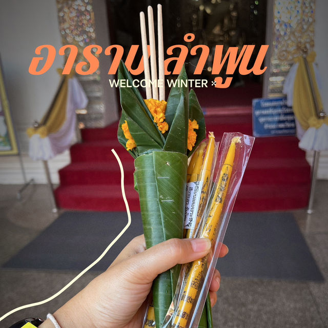 สักการะพระธาตุหริภุญชัย ในเทศกาลโคมแสนดวง 