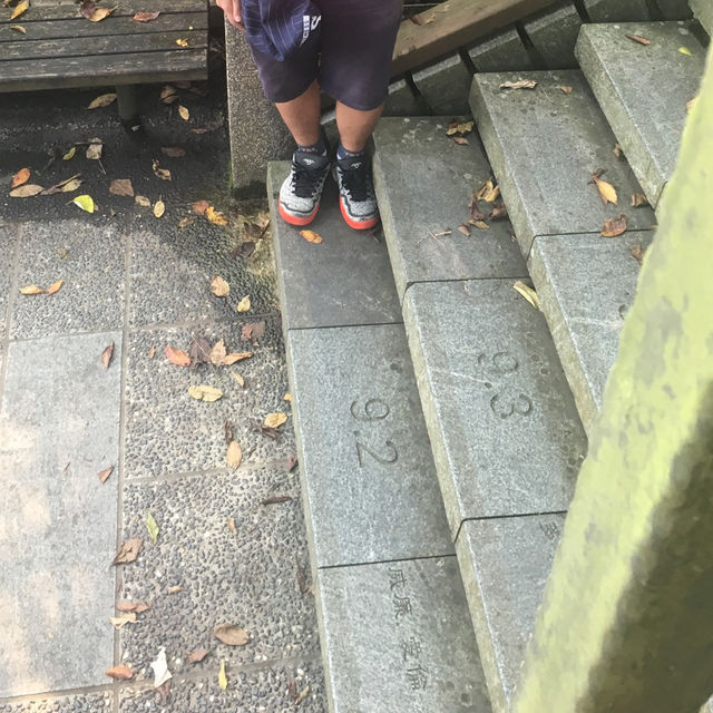  文武廟年梯步道✨尋找自己生日的階梯🪜
