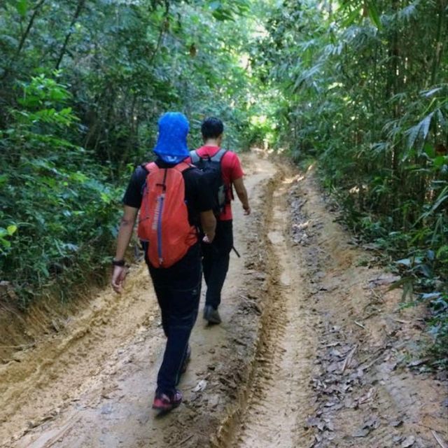 Bukit Kutu: A Challenging Yet Rewarding Day Hike in Selangor Malaysia 