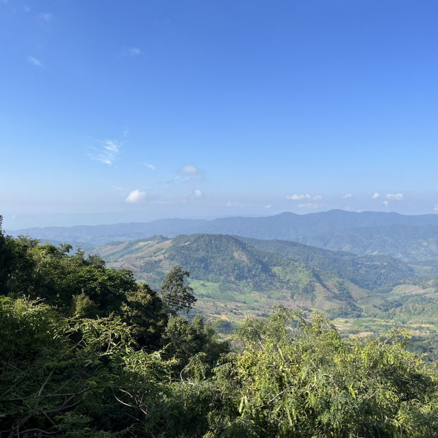 รีวิวคาเฟ่ Abonzo Paradise ดอยช้าง ⛰️🐘