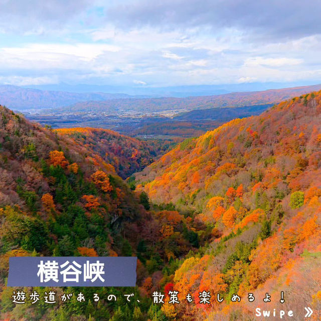 📍長野　紅葉スポット３選❗️