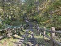 ใบไม้เปลี่ยนสีที่ Naruko Gorge 