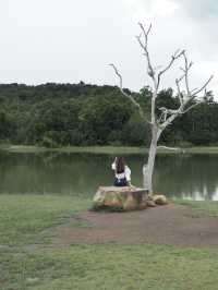 อ่างเก็บน้ำในอุทยานเขาใหญ่🍃