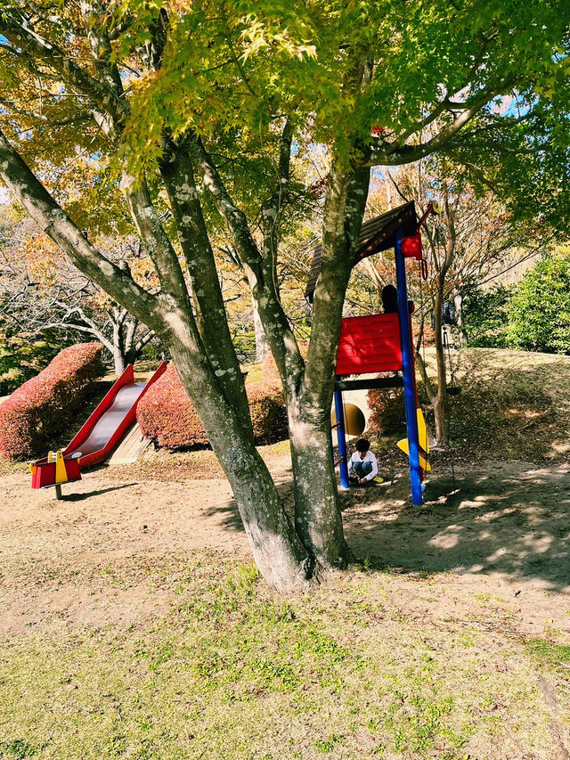 【静岡県/伊豆　紅葉🍁を眺めながら楽しめるキャンプ施設】
