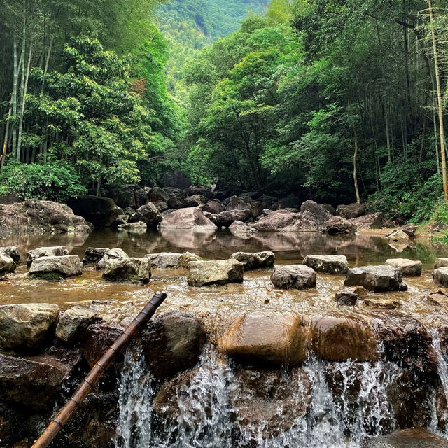 秀桐登山道：健行樂園 🏞️🌅