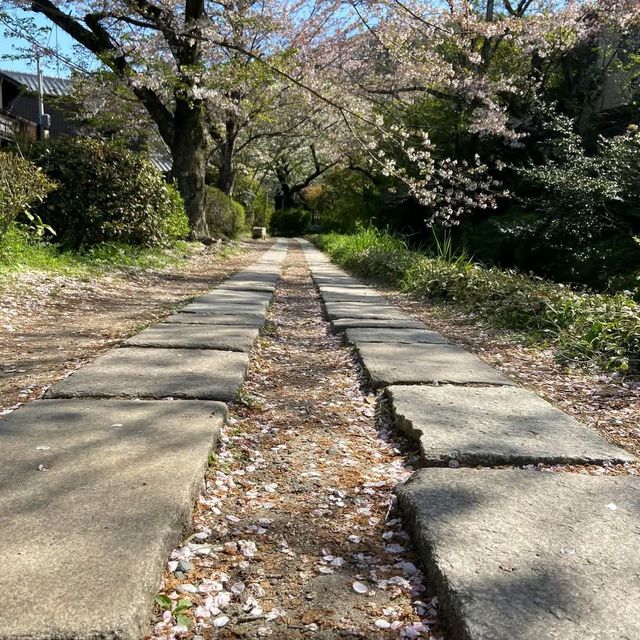 Philosopher's Path (Tetsugaku no Michi)