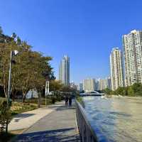 Mengqing Garden A Green Oasis Along Suzhou Creek