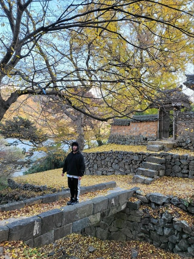 만추의 아름다움이 가득한 밀양 여행지