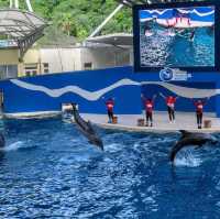 遠雄海洋公園