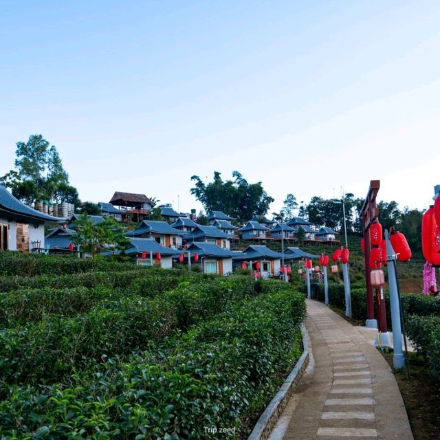 ล่องเรือชมวิว บรรยากาศที่พัก ที่บ้านรักไทย