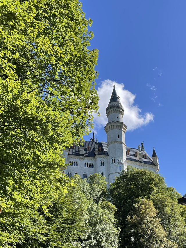 독일/뮌헨🇩🇪 신데렐라의 성🏰 노이슈반슈타인 성