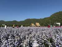 Hokkaido Flower Park 💐