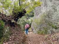 Discover the Majestic Iwadonosan Summit